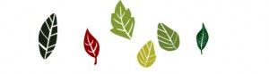 FewLeaves
