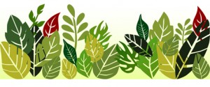 Leaves